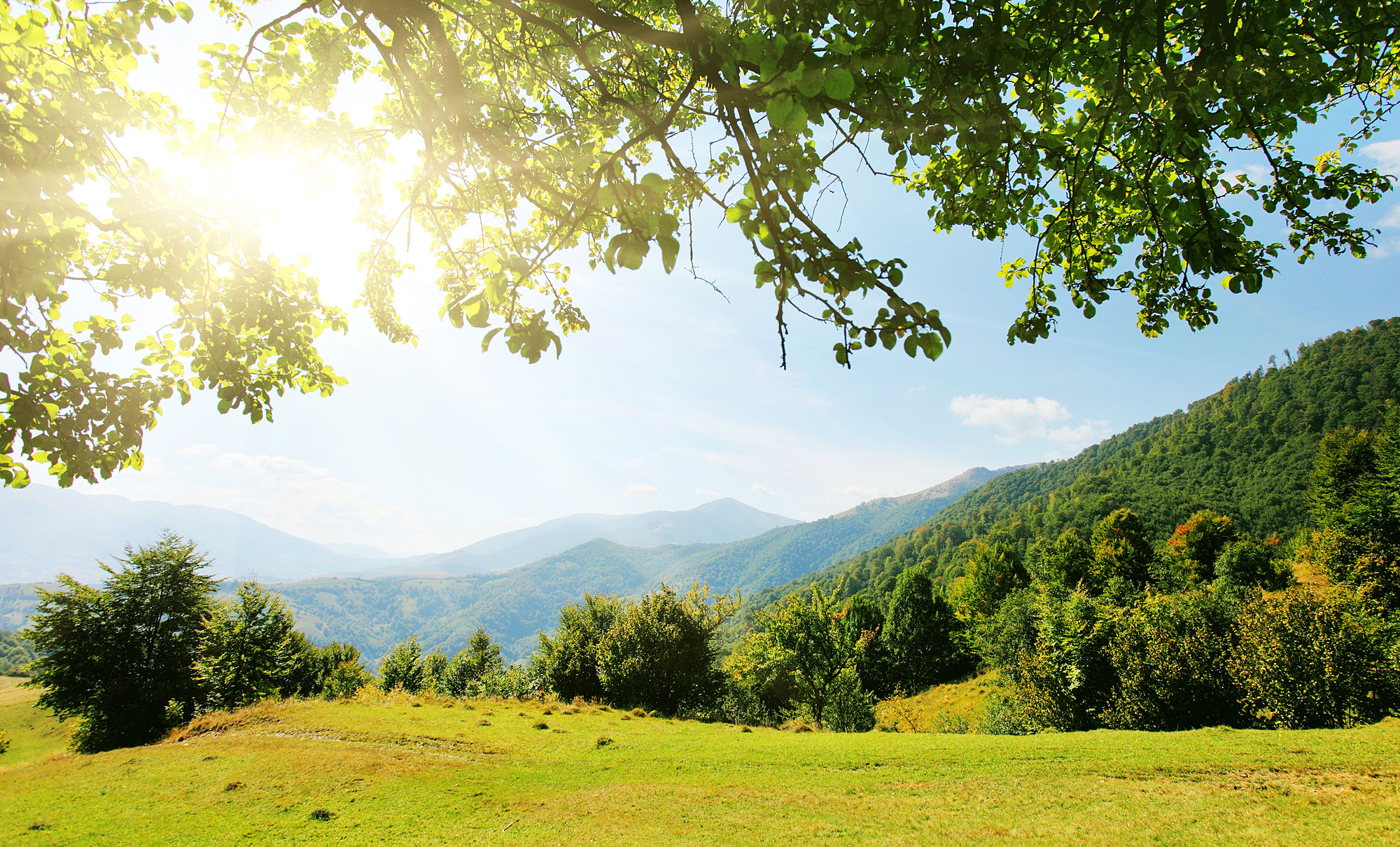 Landschft Bayerischer Wald Ausflugstipps Bayerischer Wald