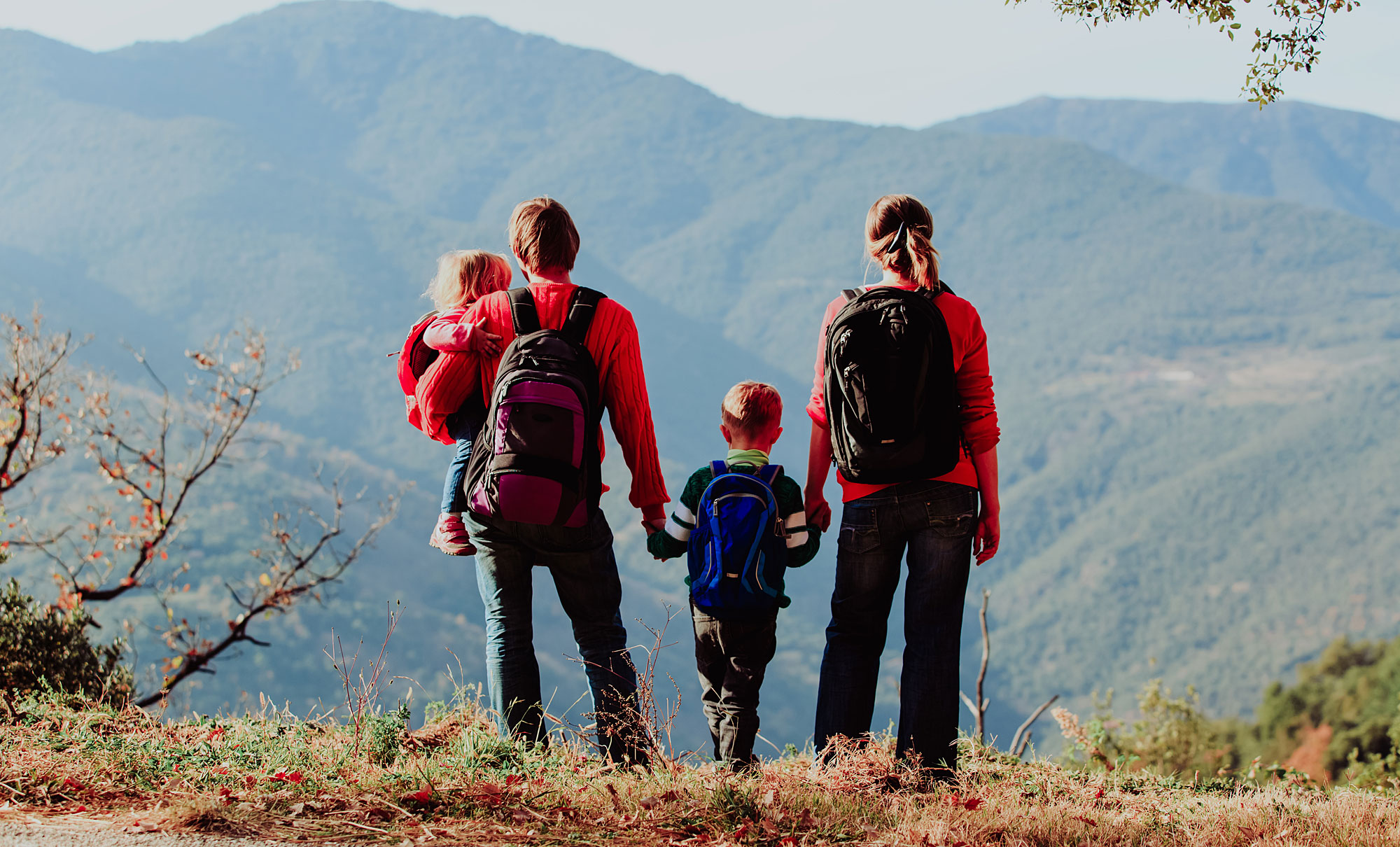 Sommerurlaub im Bayerischen Wald