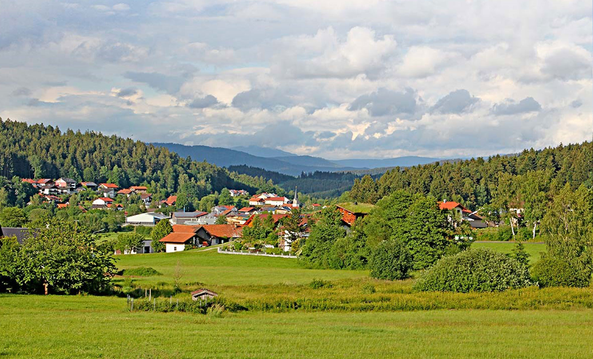Bayerischer Wald